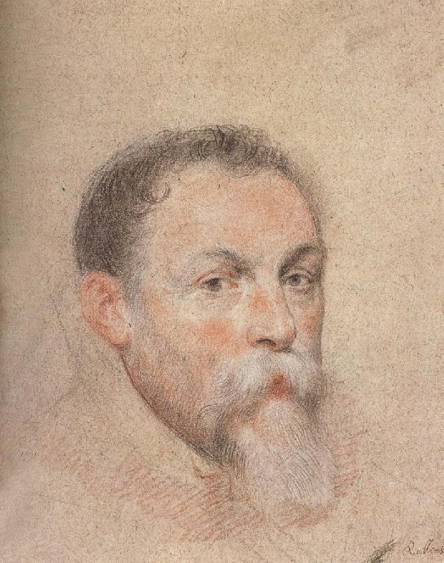 Peter Paul Rubens Portrait of Yien Sweden oil painting art